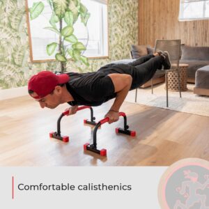 Rubberbanditz Parallette, Parallel Bars & Dip Station | At Home Gym Workout Equipment, L-Sit Bars & Calisthenics Equipment for Home. Perfect for Push Ups, Dips, Handstands & Gymnastics.