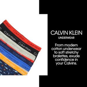 Calvin Klein Boys' Little Modern Cotton Assorted Briefs Underwear, 3 Pack, Heather Grey/Black/Heather Grey, Medium