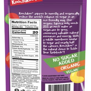 Koochikoo Sugar Free Organic Lollipop Pouch, 10 Count ( Pack - 1 )