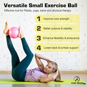 ProBody Pilates Ball Small Exercise Ball, 9 Inch Barre Ball, Mini Soft Yoga Ball, Workout Ball for Stability, Barre, Ab, Core, Physio and Physical Therapy Ball at Home Gym & Office (Aqua)