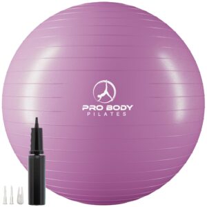 probody pilates ball exercise ball, yoga ball chair, multiple sizes stability ball chair, gym grade birthing ball for pregnancy, fitness, balance, workout and physical therapy ball (purple, 65cm)