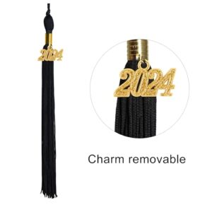 GraduatePro Matte Graduation Cap with 2024 Tassel for Adults High School and Bachelor Master Black