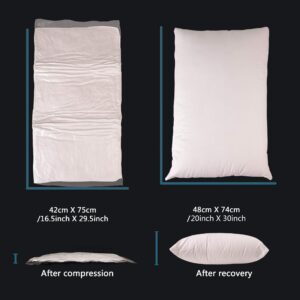 EDOW Luxury Soft Pillows for Sleeping, Fluffy Down Alternative Polyester Fiber Filled Pillow, Home&Hotel-Collection, Machine Washable