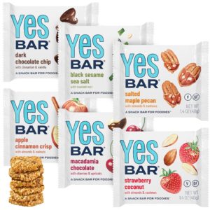 the yes bar – six flavor variety pack – plant based protein, decadent snack bar – vegan, paleo, gluten free, dairy free, low sugar, healthy snack, breakfast, low carb, keto friendly (pack of 6)