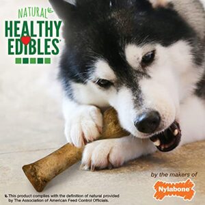 Nylabone Healthy Edibles Natural Dog Chews Long Lasting Bacon Flavor Treats for Dogs, X-Large/Souper (2 Count)