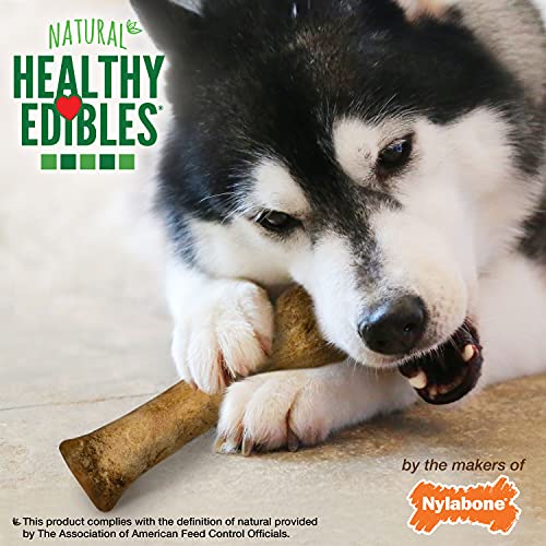 Nylabone Healthy Edibles Natural Dog Chews Long Lasting Bacon Flavor Treats for Dogs, X-Large/Souper (2 Count)