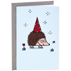 hallmark shoebox funny birthday card (cats don't care that it's your birthday)