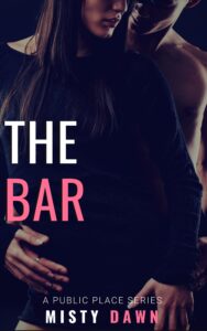 the bar: a public place story (a public place series book 3)