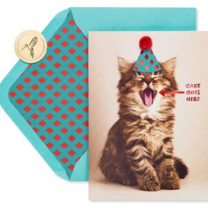 Papyrus Funny Cat Birthday Card (Indulge)