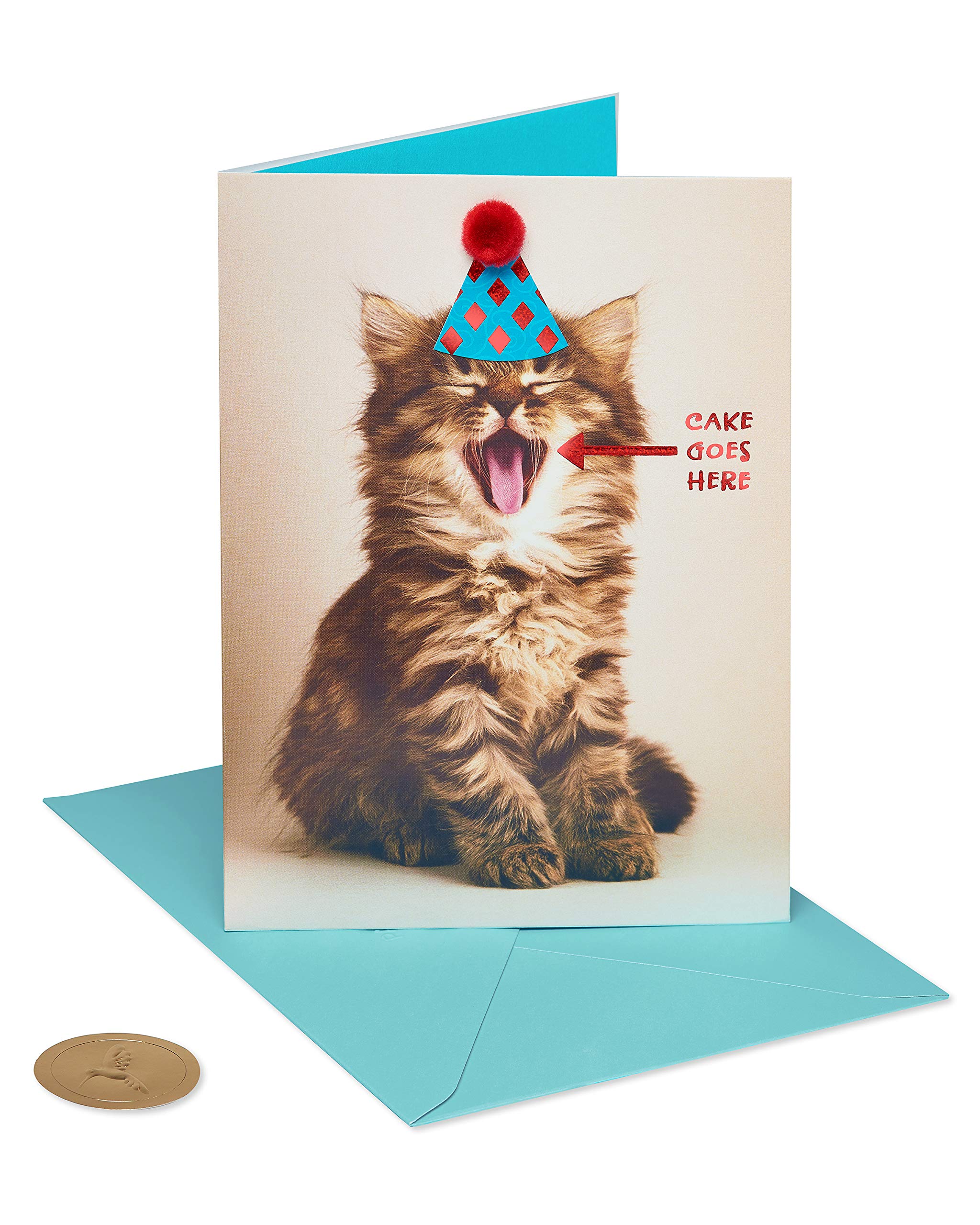 Papyrus Funny Cat Birthday Card (Indulge)