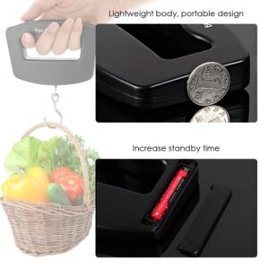 50kg/10g Portable Luggage Scale Digital Mini Fish Hook Hanging Scale Electronic Weight Scale for Travel Household Outdoor Weighing