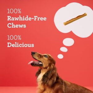 DreamBone DreamSticks with Real Bacon and Cheese Flavor, Rawhide Free Dog Chew Sticks 15 Sticks