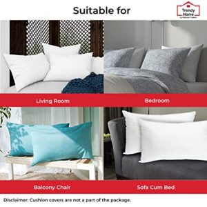 Trendy Home 12x20 Throw Pillow Insert (pack of 2, White), Bed and Couch Pillows Stuffer Hypoallergenic, Lumbar Support Decorative Home Outdoor Pillow Filler (Non Woven, 2 Pack)