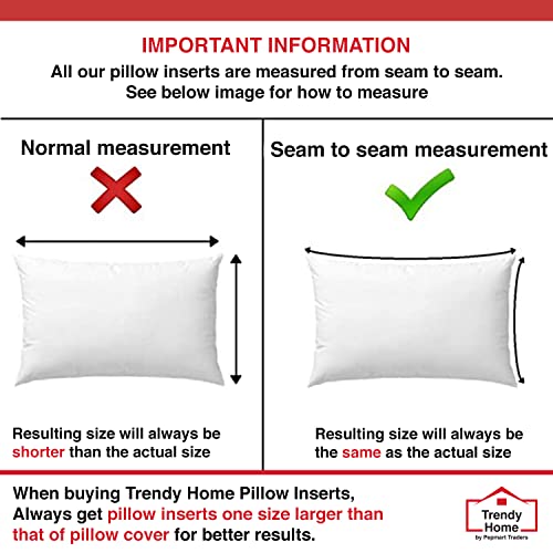 Trendy Home 12x20 Throw Pillow Insert (pack of 2, White), Bed and Couch Pillows Stuffer Hypoallergenic, Lumbar Support Decorative Home Outdoor Pillow Filler (Non Woven, 2 Pack)