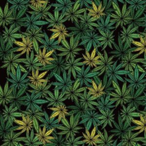 gift wrapping paper sheet, hemp theme pattern, 2 sheets - 7.5 sq. ft ea - green card greetings