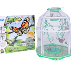 Uncle Milton Butterfly Farm Live Habitat - Observe Caterpillars Transform Into Butterflies, STEM Toy, Great Gifts for Boys & Girls Ages 6+