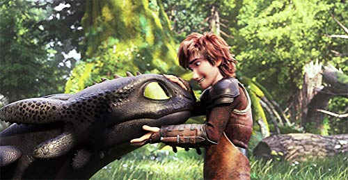 How to Train Your Dragon: The Hidden World [DVD]