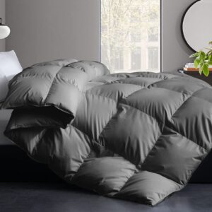 Cosybay Queen Size Feather Comforter Filled with Feather & Down Queen Size - All Season Grey Duvet Insert- Luxurious Hotel Bedding Comforters with Cotton Cover - Queen 90 x 90 Inch