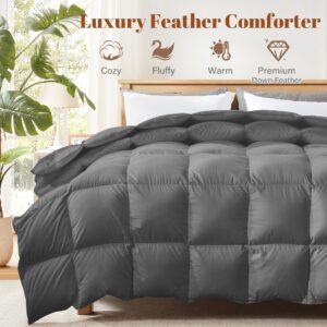 Cosybay Queen Size Feather Comforter Filled with Feather & Down Queen Size - All Season Grey Duvet Insert- Luxurious Hotel Bedding Comforters with Cotton Cover - Queen 90 x 90 Inch