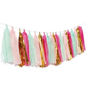 20pcs Tassel Garland Party Decor，Tassel Banner Tissue Paper DIY Decorations for Wedding Baby Shower Birthday Event Party Garland Decor (Gold Mint Rose Red Pink)