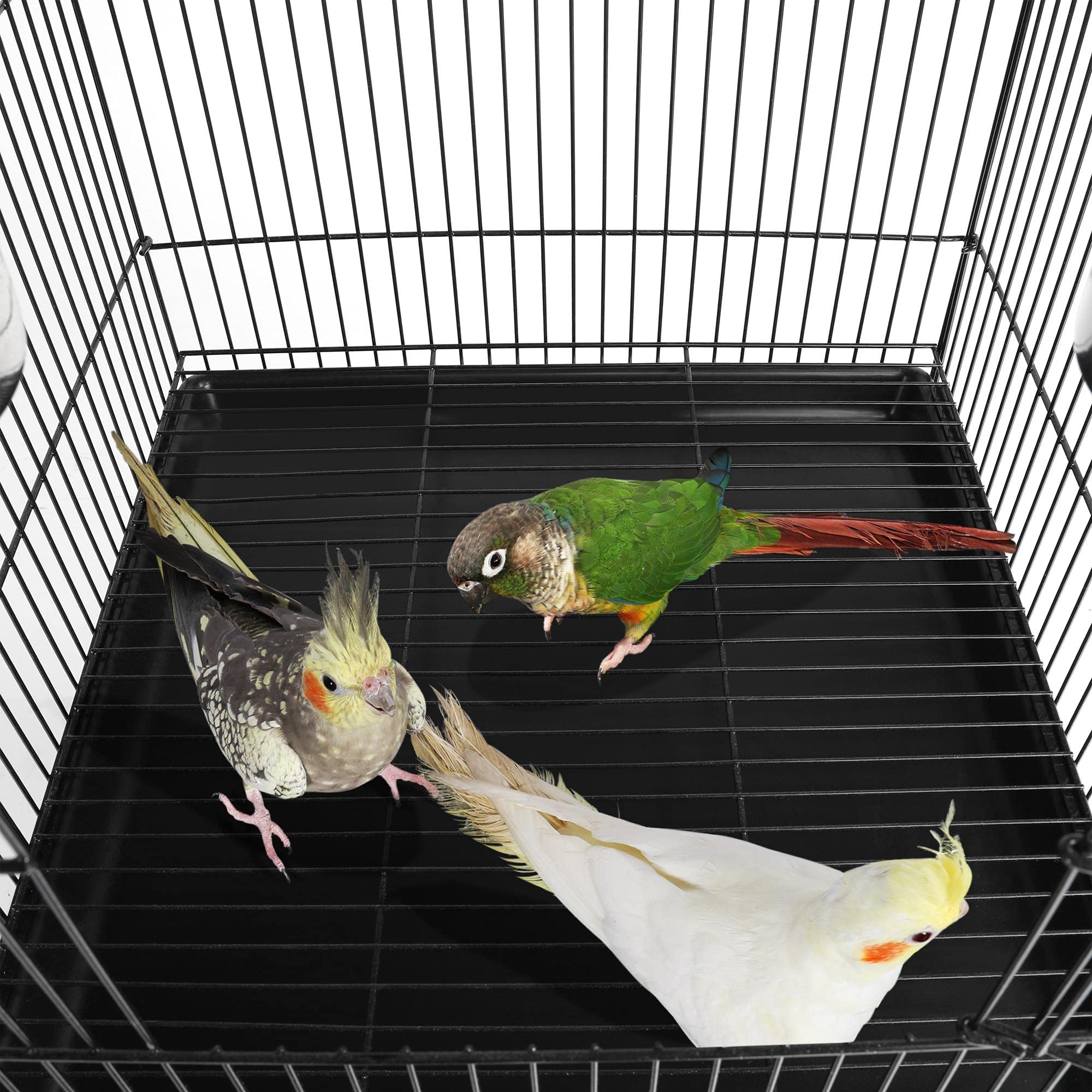 Yaheetech 57-Inch Rolling Open Top Roof Bird Cage for Mid-sized Parrots Cockatiels Caique Quaker Monk Indian Ring Neck Green Cheek Conure Middle bird Cage with Detachable Stand