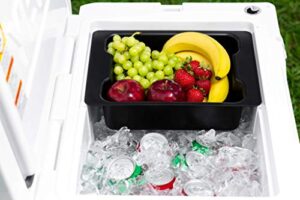 beast cooler accessories solid plastic dry goods tray for yeti tundra haul cooler, black, 12"