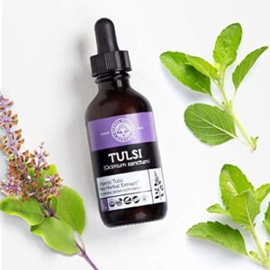 Global Healing Organic Tulsi (Holy Basil Leaf Extract) Vegan Liquid Supplement Drops (Organic basil) - Bioavailable Herb for Normal Stress Response, Natural Energy & Immune Support - 2 Fl Oz Tincture