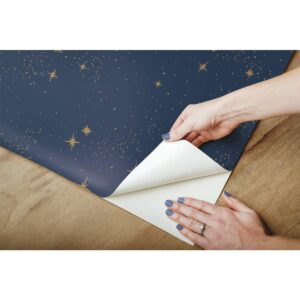 RoomMates RMK11319WP Upon A Star Navy and Metallic Peel and Stick Wallpaper