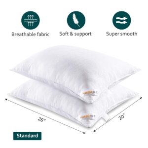 HARBOREST Bed Pillows Standard Size Set of 2 - Luxury Hotel Collection Down Alternative Pillows for Sleeping, 20 x 26 Inches