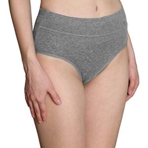 UMMISS Women Panties 5 Pack, Soft Cotton High Waist Breathable Solid Color Briefs Panties for Women Size 10 3XL