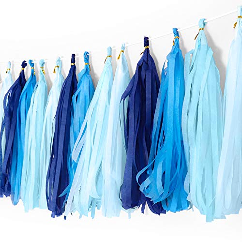 Binpeng 9.8in Blue Tissue Paper Tassel DIY Hanging paper decorations Party Garland Decor for Party Decorations Wedding,Festival,Baby Shower Decoration 20PCS25cm