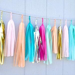 Binpeng 9.8in Blue Tissue Paper Tassel DIY Hanging paper decorations Party Garland Decor for Party Decorations Wedding,Festival,Baby Shower Decoration 20PCS25cm