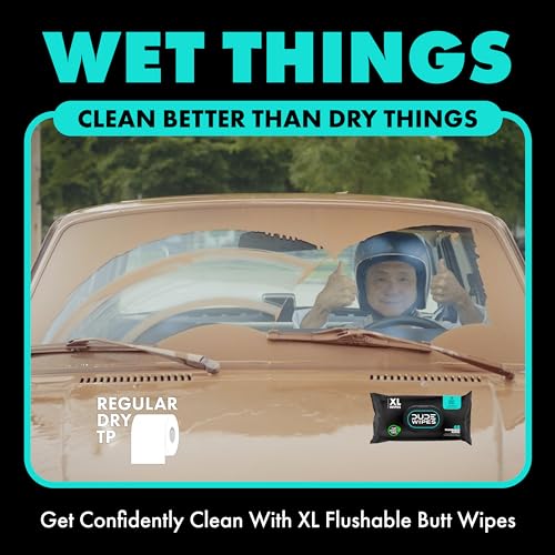 DUDE Wipes - Flushable Wipes - 3 Pack, 144 Wipes - Mint Chill Extra-Large Adult Wet Wipes - Vitamin-E, Aloe, Eucalyptus & Tea Tree Oils - Septic and Sewer Safe