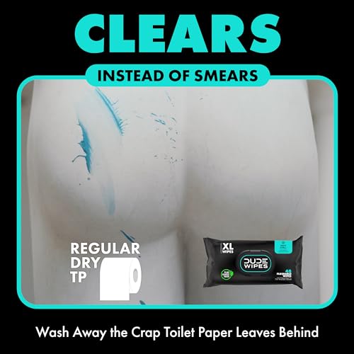 DUDE Wipes - Flushable Wipes - 3 Pack, 144 Wipes - Mint Chill Extra-Large Adult Wet Wipes - Vitamin-E, Aloe, Eucalyptus & Tea Tree Oils - Septic and Sewer Safe