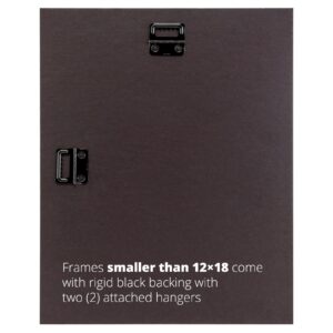 Craig Frames Potomac, 11 x 14 Inch American Walnut Brown Picture Frame Matted to Display an 8 x 10 Inch Photo