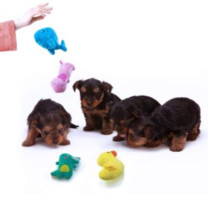 AWOOF Puppy Toys, 10 Pack Cute Puppy Plush Chew Squeaky Dog Toys for Boredom, Puppy Teething Toys for Medium to Small Dogs