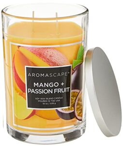 aromascape pt41924 2-wick scented jar candle, mango & passion fruit, 19-ounce, orange