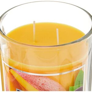 Aromascape PT41924 2-Wick Scented Jar Candle, Mango & Passion Fruit, 19-Ounce, Orange