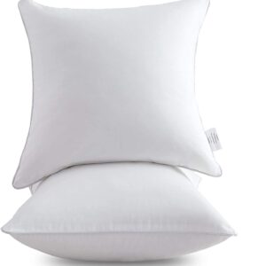 Leeden 22 x 22 Pillow Inserts (Set of 2) - Throw Pillow Inserts with 100% Cotton Cover - 22 Inch Square Interior Sofa Pillow Inserts - Decorative Pillow Insert Pair - White Couch Pillow