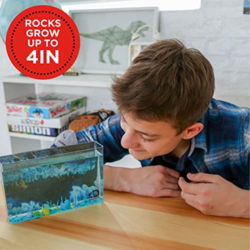 Discovery Kids Crystal Aquarium, Includes Growing Magic Rocks, Aquarium & Bonus Poster, DIY Crystal Growing Kit, Rock Science Kit, Cool STEM Gift, Science Kit for Girls and Boys Ages 12+ 4 inches