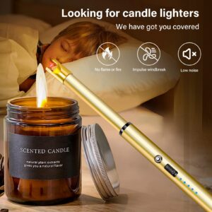 Navpeak Candle Lighter Long Neck Windproof Electric Rechargeable Arc Lighter for Light Candles Gas Stove Fireplace BBQ Kitchen Grills(Gold)