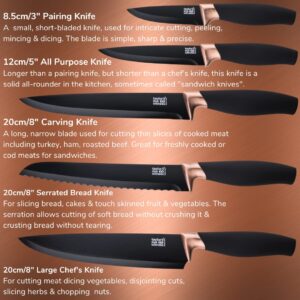 Taylors Eye Witness 5pc Kitchen Knife Gift Set - Brooklyn Copper Colored Bolsters, Matching Razor Sharp Titanium Coated Blades. Soft Grip Handles. 2yr Peace of Mind. Extra Sharpener for Knives