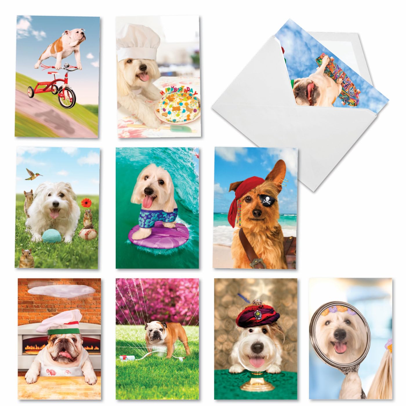 NobleWorks - 10 Funny Birthday Cards Boxed - Assorted Humor Photos, Cartoons, Bulk Bday Greeting Cards with Envelopes - Shaggy Dogs AC3216BDG-B1x10