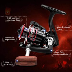 Fishing Reel, Spinning Reel, Ultralight 5.2:1 Gear Ratio, 12 Ball Bearings, 39.5LB Carbon Fiber Drag, Reversible Handle for Left and Right Retrieve, Perfect for Freshwater and Saltwater (H2000)