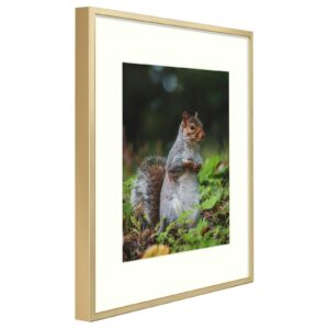 Golden State Art, 11x14 Aluminum Metal Frame with Ivory Mat for 8x10 Pictures, includes with Sawtooth Hangers and Spring Clips - Wall Mounting - Real Glass (Gold, 3 Pack)