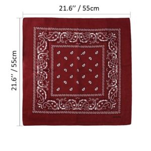 Bycc Bynn 3 Pack Pure Cotton Paisley Pattern Bandanas Square Scarf Headwear (Black + Burgundy + White)