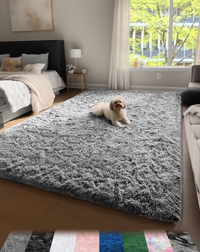 Ophanie Machine Washable Upgrade 4x6 Rugs for Bedroom, Grey, Fluffy Shaggy Soft Area Rug, Gray Non-Slip Indoor Floor Carpet for Living Room, Kids Baby Boys Teen Dorm Home Decor Aesthetic, Nursery, Rug