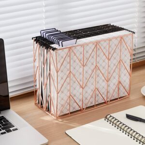 Y YOMA 12 Pack Decorative Hanging File Folders Letter Size Rose Gold File Folder Pretty Hanging Folder Organizer for Filing Cabinet Office Home with 1/5-Cut Adjustable Tabs, 3 Black Foil Design