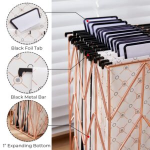 Y YOMA 12 Pack Decorative Hanging File Folders Letter Size Rose Gold File Folder Pretty Hanging Folder Organizer for Filing Cabinet Office Home with 1/5-Cut Adjustable Tabs, 3 Black Foil Design