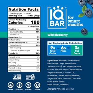 IQBAR Brain and Body Plant Protein Bars - Wild Blueberry - 12 Count, Low Carb, High Fiber, Gluten Free, Healthy Vegan Snacks - Low Sugar Keto Bar Pack